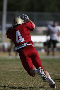 星空体育app-五大联赛球队是否有意控制比赛中界外球发球节奏，五大联赛允许几名外援  第3张